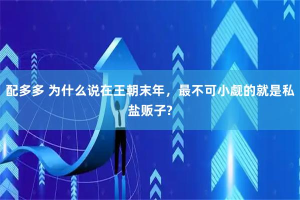 配多多 为什么说在王朝末年,最不可小觑的就是私盐贩子?