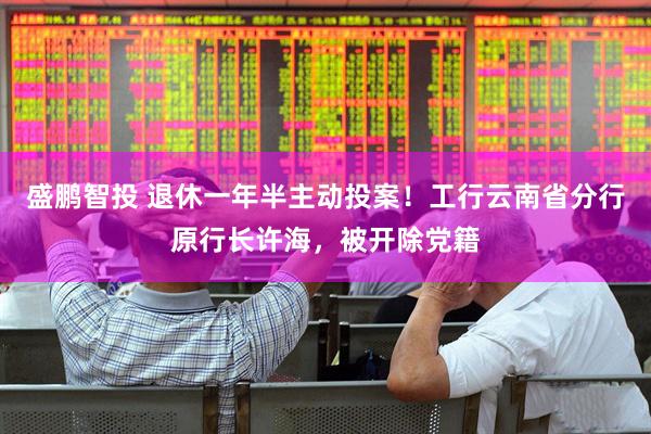 盛鹏智投 退休一年半主动投案！工行云南省分行原行长许海，被开除党籍