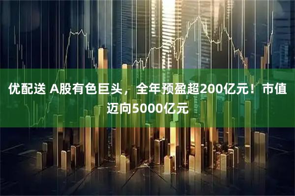 优配送 A股有色巨头，全年预盈超200亿元！市值迈向5000亿元