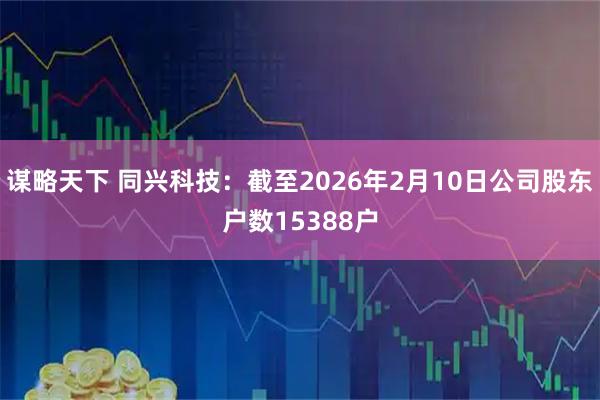 谋略天下 同兴科技：截至2026年2月10日公司股东户数15388户
